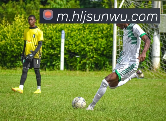 爱游戏体育全站发展历程